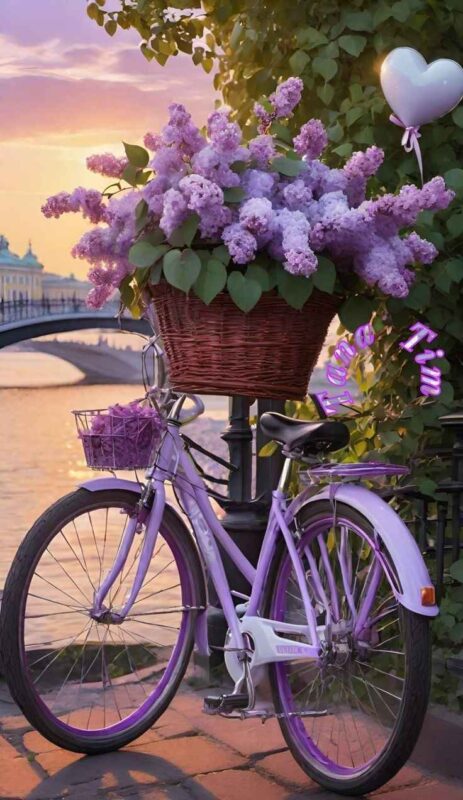 Image #1 from Ö**** Ö****