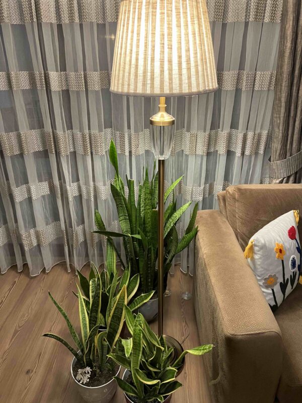 Image #1 from Z***** Y*****